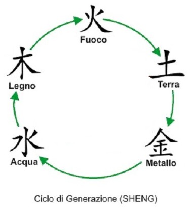 Ciclo Sheg (Generazione o madre - figlio)